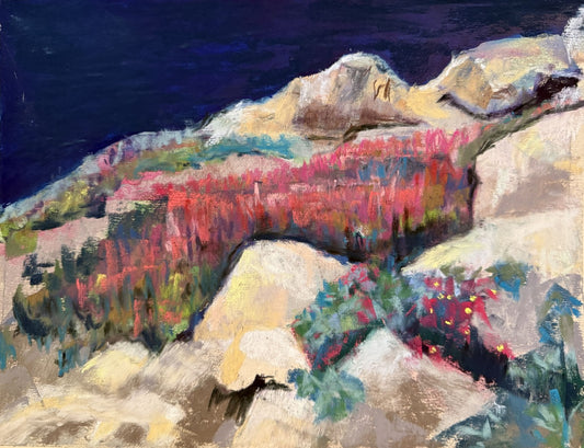 NorCal Coast